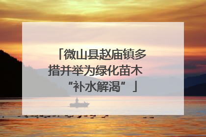 微山县赵庙镇多措并举为绿化苗木“补水解渴”