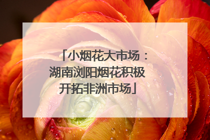 小烟花大市场：湖南浏阳烟花积极开拓非洲市场