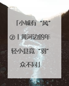 小城有“风”②丨黄河边的年轻小县竟“羽”众不同