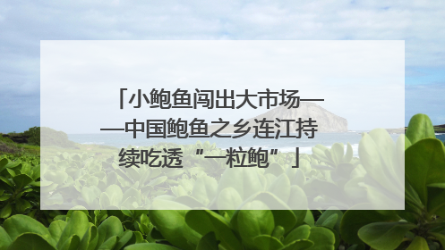 小鲍鱼闯出大市场——中国鲍鱼之乡连江持续吃透“一粒鲍”