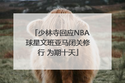 少林寺回应NBA球星文班亚马闭关修行 为期十天