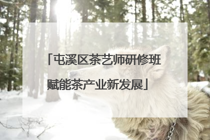 屯溪区茶艺师研修班赋能茶产业新发展