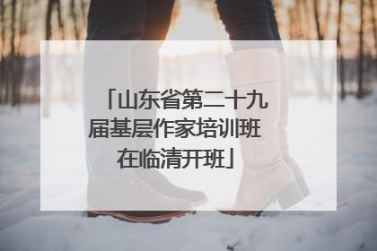 山东省第二十九届基层作家培训班在临清开班