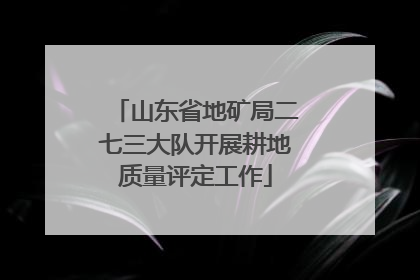 山东省地矿局二七三大队开展耕地质量评定工作
