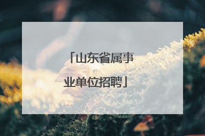 山东省属事业单位招聘