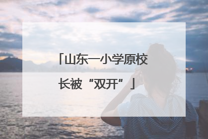 山东一小学原校长被“双开”
