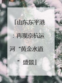 山东东平港：再现京杭运河“黄金水道”盛景
