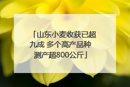 山东小麦收获已超九成 多个高产品种测产超800公斤