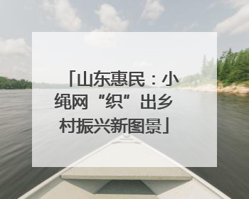 山东惠民：小绳网“织”出乡村振兴新图景