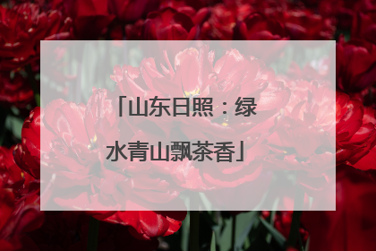 山东日照：绿水青山飘茶香