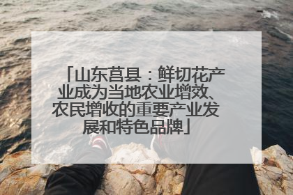 山东莒县：鲜切花产业成为当地农业增效、农民增收的重要产业发展和特色品牌