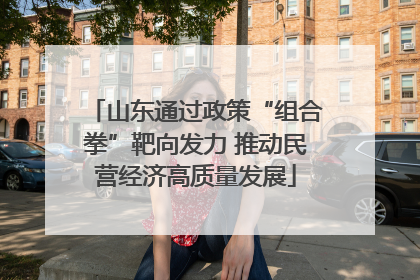 山东通过政策“组合拳”靶向发力 推动民营经济高质量发展