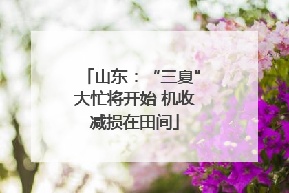山东：“三夏”大忙将开始 机收减损在田间