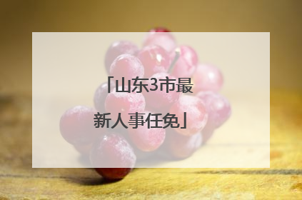山东3市最新人事任免
