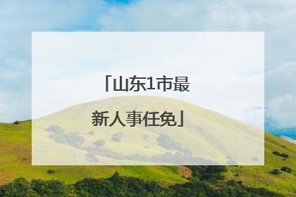 山东1市最新人事任免