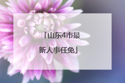 山东4市最新人事任免