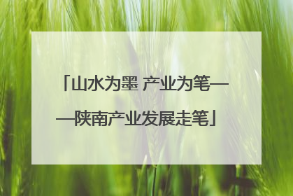 山水为墨 产业为笔——陕南产业发展走笔
