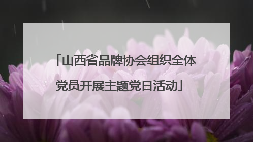 山西省品牌协会组织全体党员开展主题党日活动