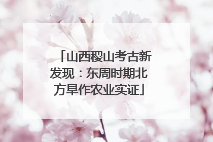 山西稷山考古新发现：东周时期北方旱作农业实证