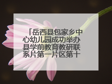 岳西县包家乡中心幼儿园成功举办县学前教育教研联系片第一片区第十三次专题研讨会