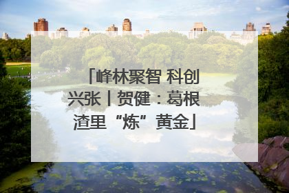 峰林聚智 科创兴张丨贺健：葛根渣里“炼”黄金