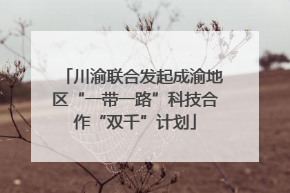 川渝联合发起成渝地区“一带一路”科技合作“双千”计划
