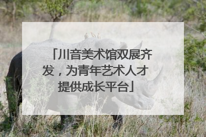 川音美术馆双展齐发，为青年艺术人才提供成长平台