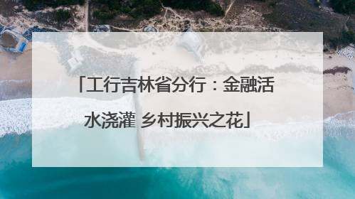 工行吉林省分行：金融活水浇灌 乡村振兴之花