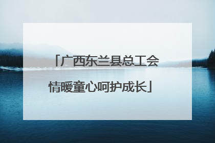 广西东兰县总工会情暖童心呵护成长