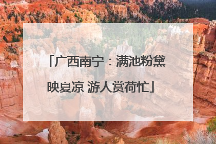 广西南宁：满池粉黛映夏凉 游人赏荷忙