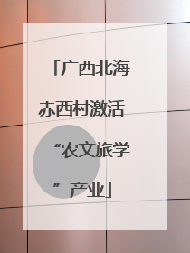 广西北海赤西村激活“农文旅学”产业