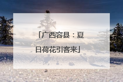 广西容县：夏日荷花引客来