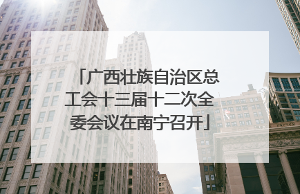 广西壮族自治区总工会十三届十二次全委会议在南宁召开