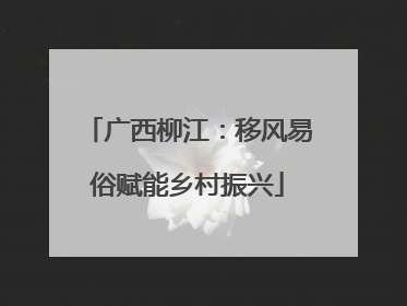 广西柳江：移风易俗赋能乡村振兴