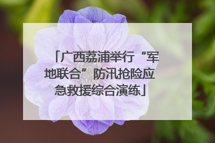 广西荔浦举行“军地联合”防汛抢险应急救援综合演练