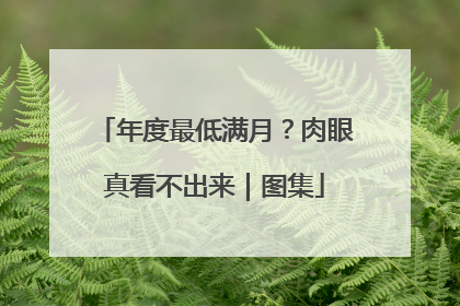 年度最低满月？肉眼真看不出来｜图集