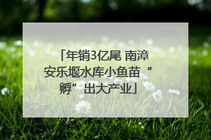 年销3亿尾 南漳安乐堰水库小鱼苗“孵”出大产业