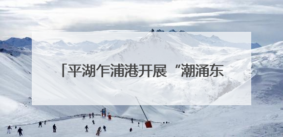 平湖乍浦港开展“潮涌东方·港城新韵”2025年浙江美术名家采风活动