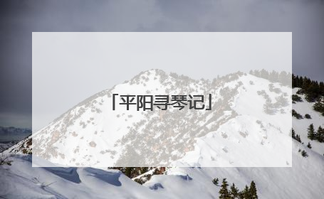 平阳寻琴记