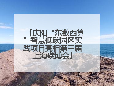 庆阳“东数西算”智慧低碳园区实践项目亮相第三届上海碳博会