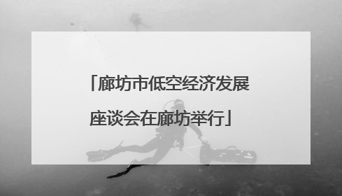 廊坊市低空经济发展座谈会在廊坊举行