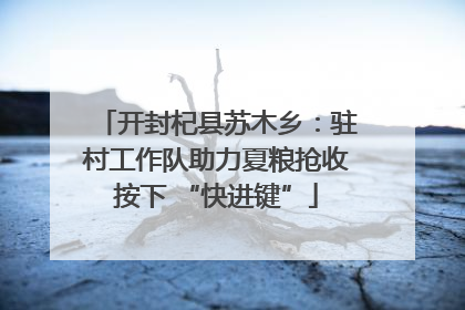 开封杞县苏木乡：驻村工作队助力夏粮抢收按下 “快进键”
