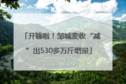 开镰啦！邹城麦收“减”出530多万斤增量