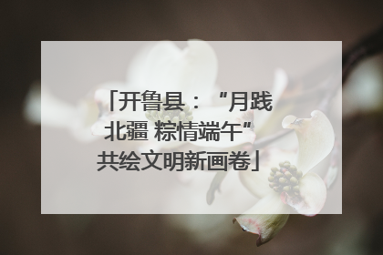 开鲁县：“月践北疆 粽情端午”共绘文明新画卷