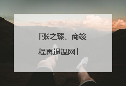 张之臻、商竣程再退温网