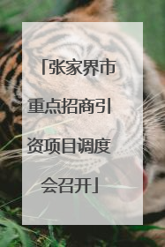张家界市重点招商引资项目调度会召开