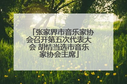 张家界市音乐家协会召开第五次代表大会 胡情当选市音乐家协会主席