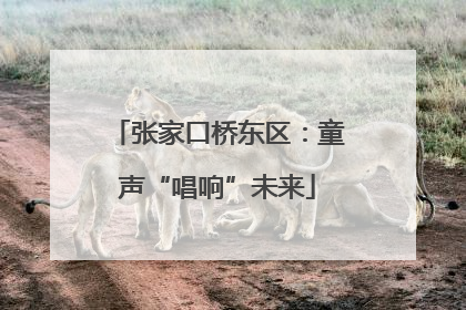 张家口桥东区：童声“唱响”未来
