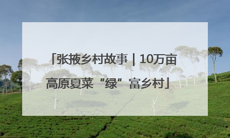 张掖乡村故事｜10万亩高原夏菜“绿”富乡村