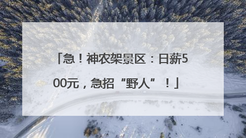 急！神农架景区：日薪500元，急招“野人”！